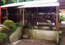 キャンプ用品洗い場